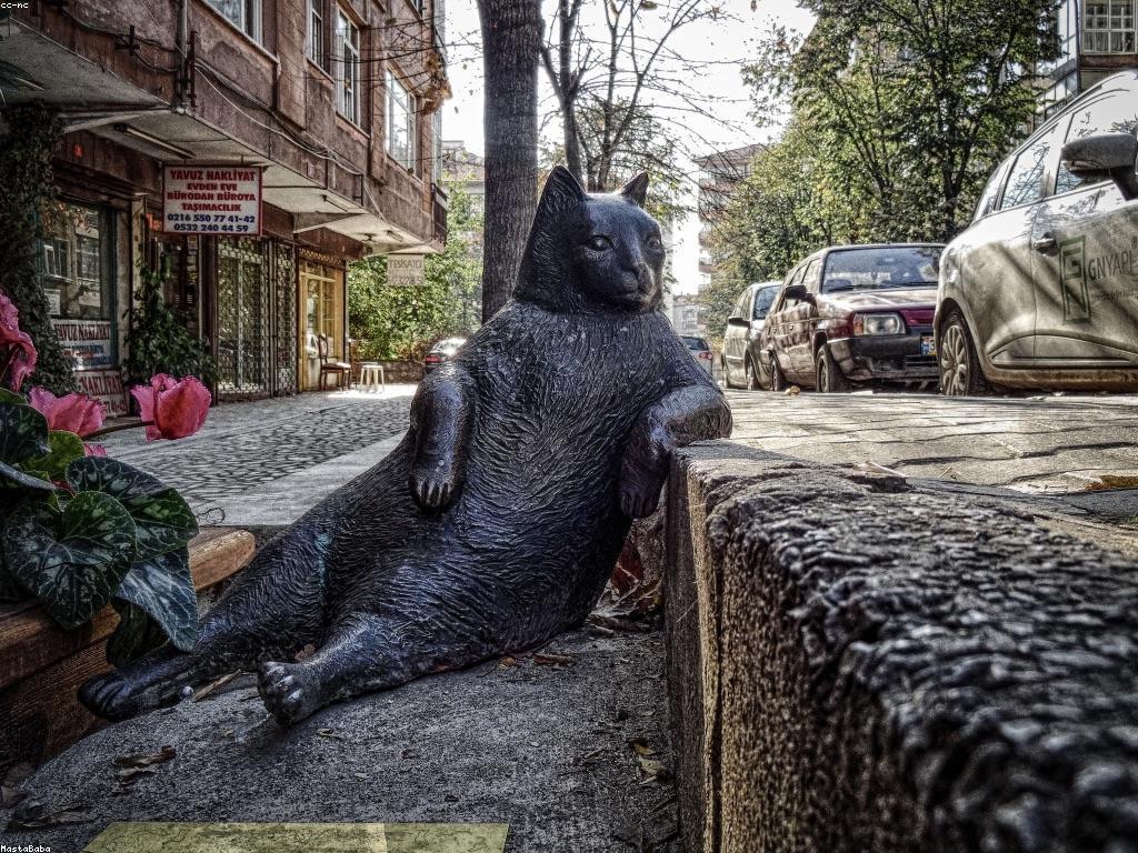 ការយល់ដឹងអំពីតំបន់ឈ្នះនិងអត្ថប្រយោជន៍