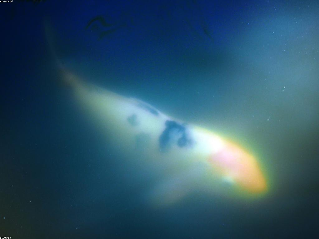 ការប្រកួតមិត្តភាព៖ ការពិចារណានិងការប្រកួតដែលផ្តល់នូវការចាប់អារម្មណ៍