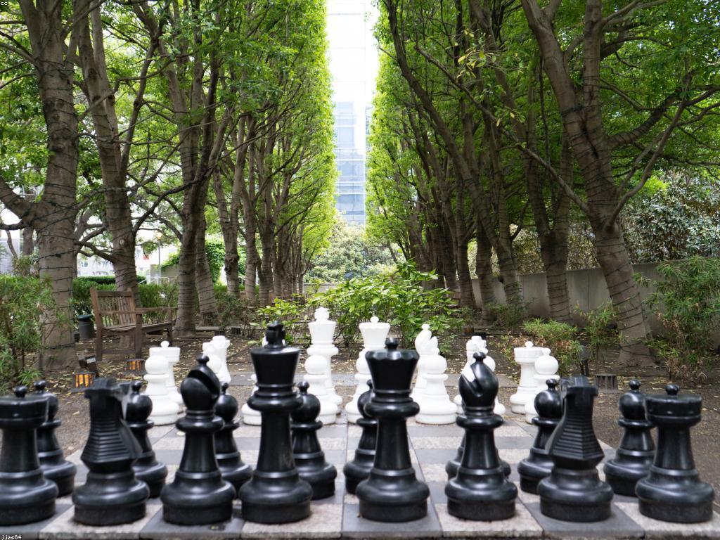 បទពិសោធន៍អ្នកឈ្នះ: យុទ្ធសាស្ត្រសម្រាប់ការជោគជ័យ