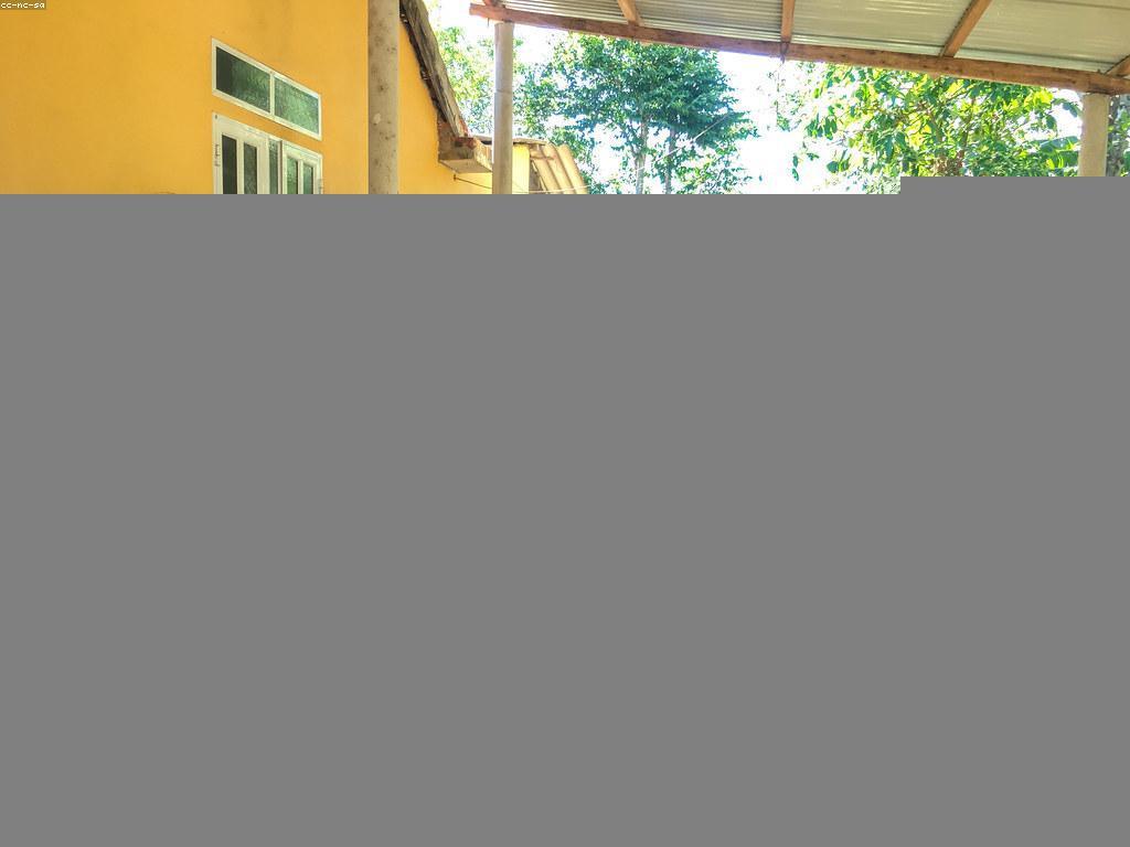 អត្ថប្រយោជន៍នៃប្រកួតមិត្តភាពសម្រាប់ការផ្តល់ជំនួយ